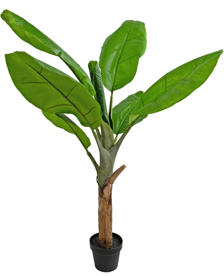 Den konstgjorda växten Bananträd 120 cm är en bananplanta i kruk med stora, livfulla gröna blad och en tjock brun stam, mot en vit bakgrund.