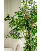 Den konstgjorda växten Ficus Tropical Liana 180 cm, med flera grenar, står bredvid en ljus klädd stol i ett ljust, mjukt upplyst rum.
