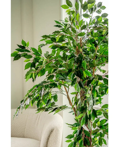 Den konstgjorda växten Ficus Tropical Liana 180 cm, med flera grenar, står bredvid en ljus klädd stol i ett ljust, mjukt upplyst rum.