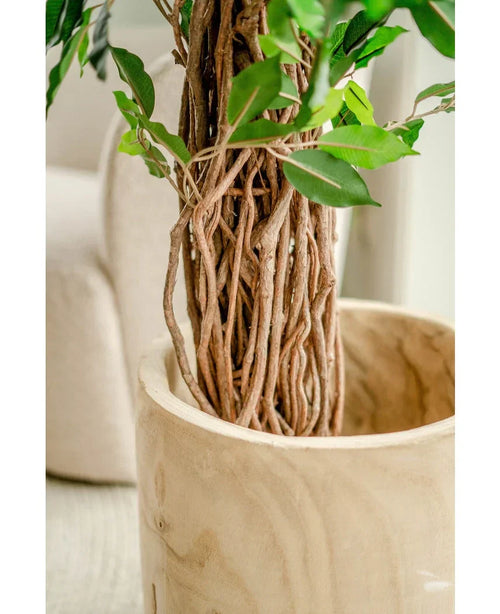 Närbild av den flätade bruna stammen och gröna blad av artificiell växt Ficus Tropical Liana 180 cm i en slät, lätt träkruka. En beige klädd stol tonar in i bakgrunden och framhäver de naturtrogna detaljerna och den livfulla grönskan hos denna stora konstgjorda växt.