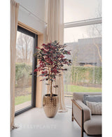 En konstgjord Ficus grön/röd växt 180 cm brandskyddsmedel med mörkgröna och röda blad står nära ett stort fönster med krämfärgade gardiner i ett ljust, modernt vardagsrum bredvid en beige soffa med mönstrade kuddar. Träd och ett hus syns utanför.