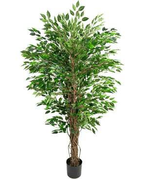 Den artificiella Hawaiian Ficus Liana (150 cm) har frodiga gröna blad och flera tvinnade bruna stjälkar i en liten svart kruka, mot en vanlig vit bakgrund.