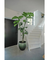 En konstgjord växt Monstera 210 cm står i en kruka på ett grått golv bredvid en vit trappa med svängt räcke i en modern, minimalistisk inredning. En svart dörr syns till vänster.