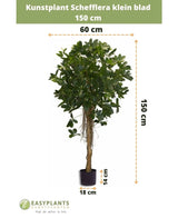 Det konstgjorda Schefflera lilla bladet 150 cm har små blad i en dekorativ kruka, är 150 cm högt, 60 cm brett, med en krukahöjd på 14 cm och en diameter på 18 cm. Måtten indikeras med pilar.