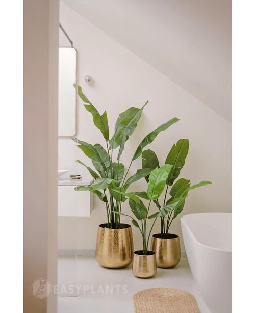 En konstgjord Strelitzia Nicolai Deluxe 120 cm växt står i en glänsande guldplanta på golvet i ett modernt, minimalistiskt badrum med vitt badkar och ljusa väggar.
