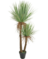 Artificiell Yucca Deluxe 153 cm växt har två höga, bruna stammar med struktur och knippen av långa, spetsiga gröna blad och några uttorkade underblad mot en vit bakgrund.