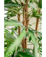 Närbild av Lady Artificiell Palm 210 cm, med de gröna, långa smala bladen och fluffiga bruna stjälkar mot en mjukt vag ljus bakgrund.