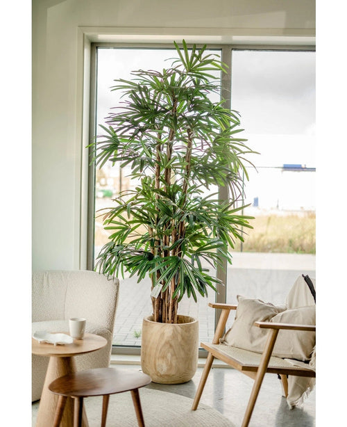 En 210 cm hög Lady Artificial Palm står bredvid ett fönster i ett ljust, modernt vardagsrum med en dämpad stol, ett litet runt bord och neutral inredning.