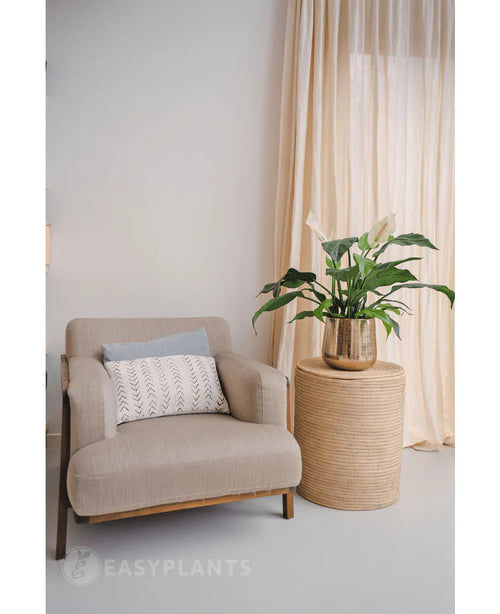 En beige fåtölj med en dekorativ kudde står bredvid ett runt sidobord i flätat med den vita 85 cm växten Artificial Spathiphyllum på. Ljusa gardiner i bakgrunden kompletterar denna lugna, moderna interiör.