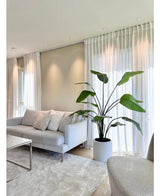 Ett modernt vardagsrum med ljusgrå soffa, vita kuddar, konstväxten Strelitzia Real Touch färdiggjord i beige kruka 180 cm, genomskinliga vita gardiner, en beige matta och mjukt naturligt ljus som kommer in genom fönstren.