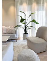 Ljust, modernt vardagsrum med en vit soffa, rund fåtölj och ottoman. En 180 cm konstgjord växt Strelitzia Real Touch färdiggjord i en beige kruka står bredvid genomskinliga gardiner. Mysig neutral inredning med en mjuk matta och kuddar fulländar looken.