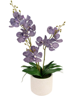 Artificiell Ascocenda 50 cm lila har två stjälkar av lila, spräckliga orkidéblommor med gröna blad i en vit kruka, mot en vanlig vit bakgrund.