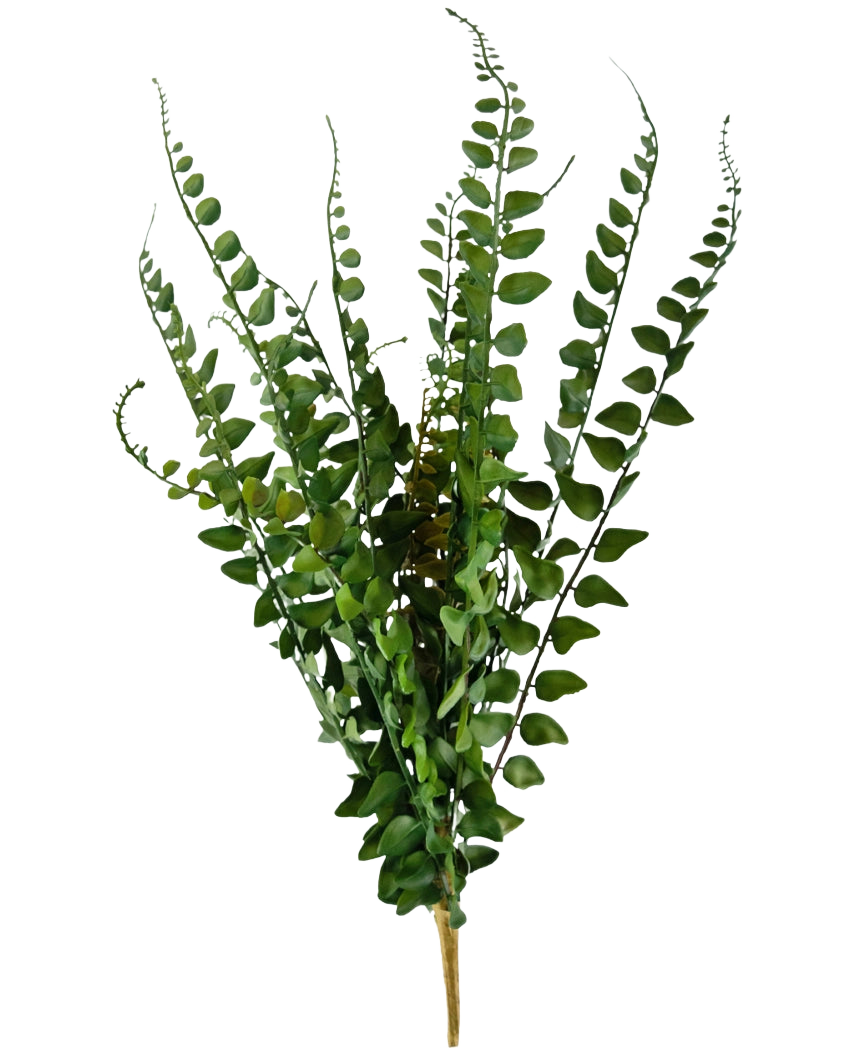 Den konstgjorda ormbunken 48 cm har konstgjorda ormbunksgrenar med långa, smala stjälkar och fint detaljerade blad som står upprätt mot en vanlig vit bakgrund.