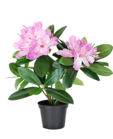 Den konstgjorda växten Rhododendron 34 cm har livfulla gröna blad och klasar av ljusrosa blommor i en liten svart kruka, mot en vanlig vit bakgrund.