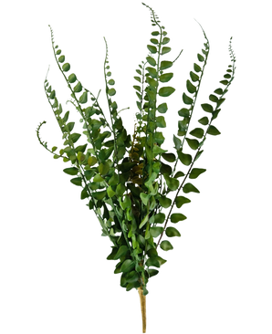 Den konstgjorda ormbunken 48 cm har konstgjorda ormbunksgrenar med långa, smala stjälkar och fint detaljerade blad som står upprätt mot en vanlig vit bakgrund.
