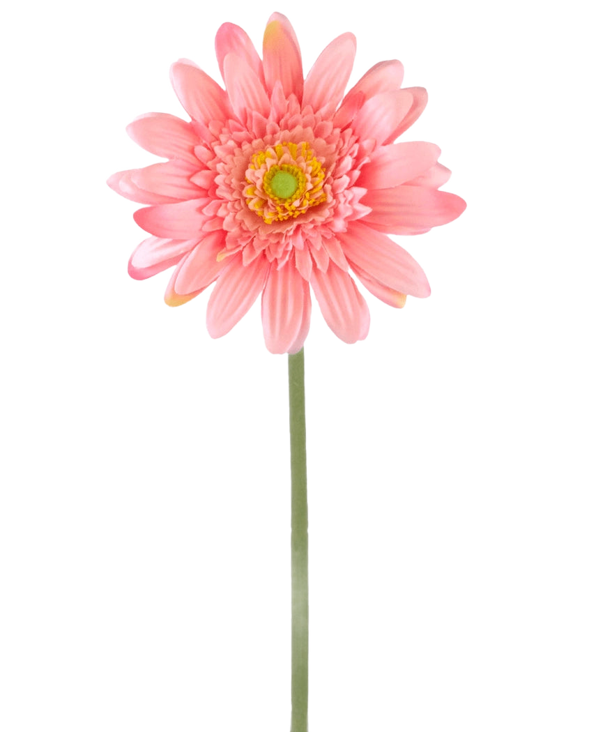 En konstgjord blomma Gerbera 55 cm rosa har en enda rosa gerbera med ett gulgrönt hjärta på en lång grön stjälk, mot en vanlig vit bakgrund.