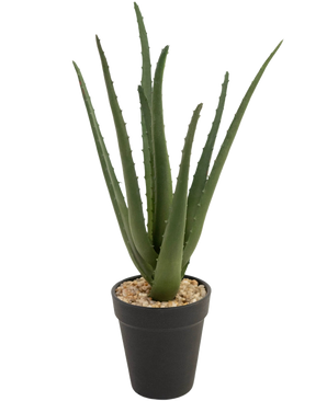 Konstgjorda växten Aloe Vera 33 cm har långa, strösiga gröna blad som växer uppåt, i små stenar i en snygg svart kruka, mot en vit bakgrund.
