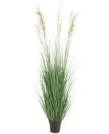 Konstgräsväxten Wheat 150 cm brandskyddsmedel är en hög, underhållsfri växt med smala gröna blad och plymer i en kruka - perfekt som trädgårdsdekoration, avbildad mot en vanlig vit bakgrund.