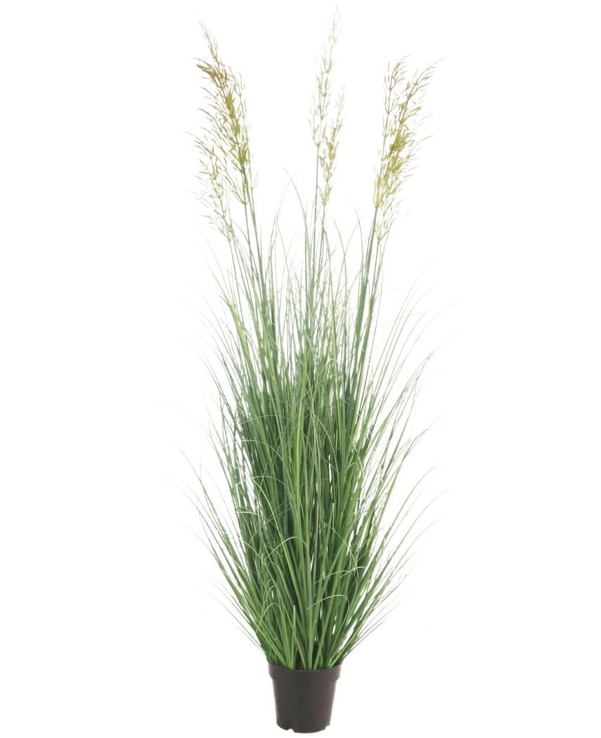 Konstgräsväxten Wheat 150 cm brandskyddsmedel är en hög, underhållsfri växt med smala gröna blad och plymer i en kruka - perfekt som trädgårdsdekoration, avbildad mot en vanlig vit bakgrund.