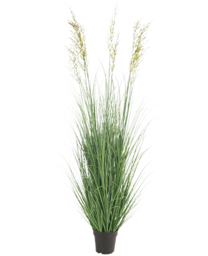 Konstgräsväxten Wheat 150 cm brandskyddsmedel är en hög, underhållsfri växt med smala gröna blad och plymer i en kruka - perfekt som trädgårdsdekoration, avbildad mot en vanlig vit bakgrund.