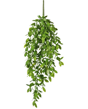 Den konstgjorda hängväxten Gardenia 61 cm är en konstgjord hängväxt med frodiga, gröna blad och en enda synlig stjälk, mot en vanlig vit bakgrund.