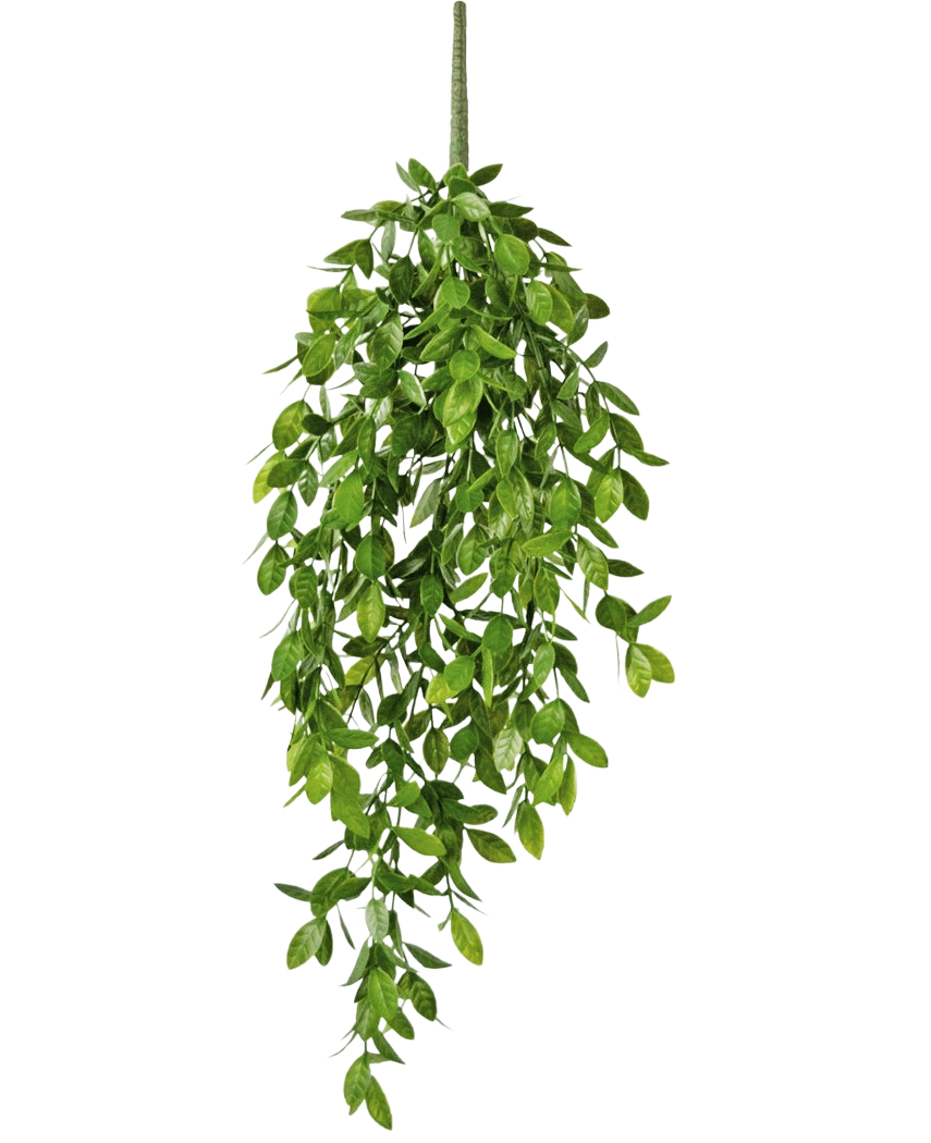 Den konstgjorda hängväxten Gardenia 61 cm är en konstgjord hängväxt med frodiga, gröna blad och en enda synlig stjälk, mot en vanlig vit bakgrund.