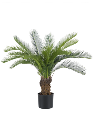 Artificiell Cycas Palm 80 cm har en lång, krökt grön cycad och en tjock, strukturerad stam. Plantan står i en enkel svart kruka mot en vanlig vit bakgrund.