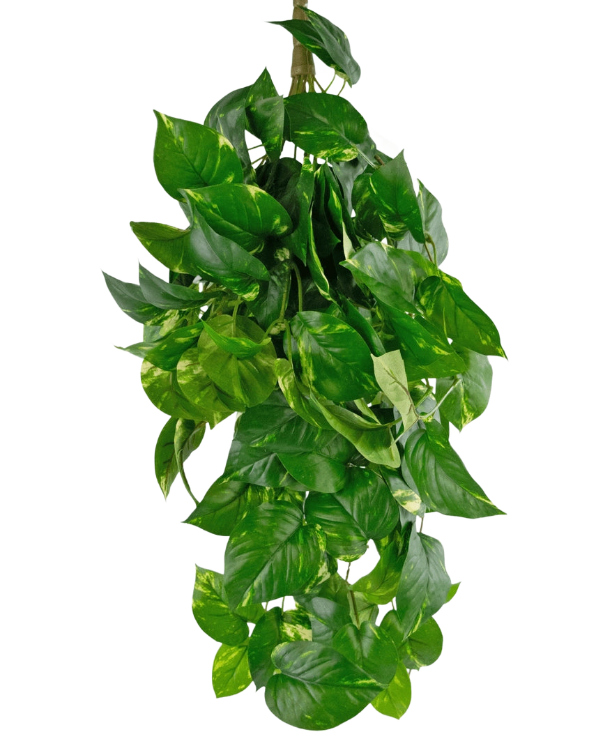 Den konstgjorda hängande växten Golden Vine Deluxe 80 cm har livfulla gröna, hjärtformade löv som faller ner för att bilda en frodig bild mot en vanlig vit bakgrund.