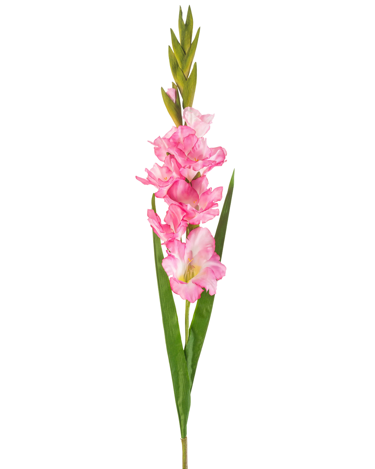 En enda konstgjord blomma Gladiolus 93 cm ljust rosa med flera ljust rosa blommor och knoppar, parat med långa gröna blad, på en vit bakgrund.