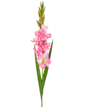 En enda konstgjord blomma Gladiolus 93 cm ljust rosa med flera ljust rosa blommor och knoppar, parat med långa gröna blad, på en vit bakgrund.