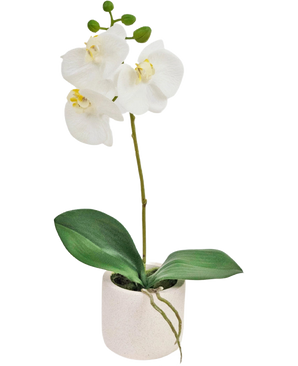 Artificiell Orchid Real Touch 30 cm vit har verklighetstrogna vita orkidéblommor och gröna blad i en liten vit kruka, perfekt för att tillföra elegans till alla rum.