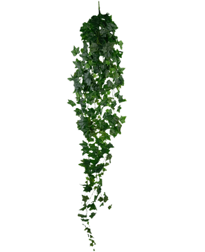 Artificiell murgröna 180 cm grön är en enda konstgjord grön murgröna med täta, spetsiga blad som hänger vertikalt mot en vanlig vit bakgrund.
