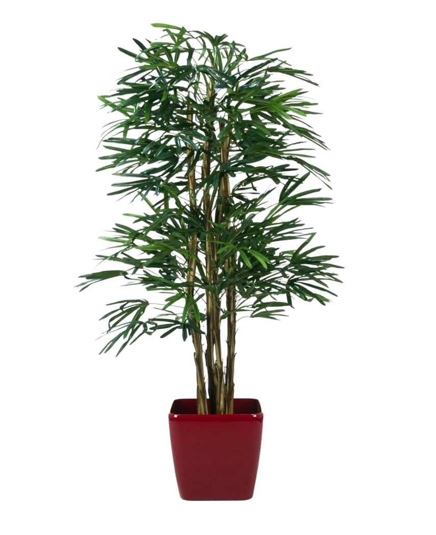Lady Artificial Palm 210 cm, en konstgjord palm med slanka gröna blad och flera tunna stjälkar, står i en blank röd fyrkantig kruka mot en vanlig vit bakgrund.
