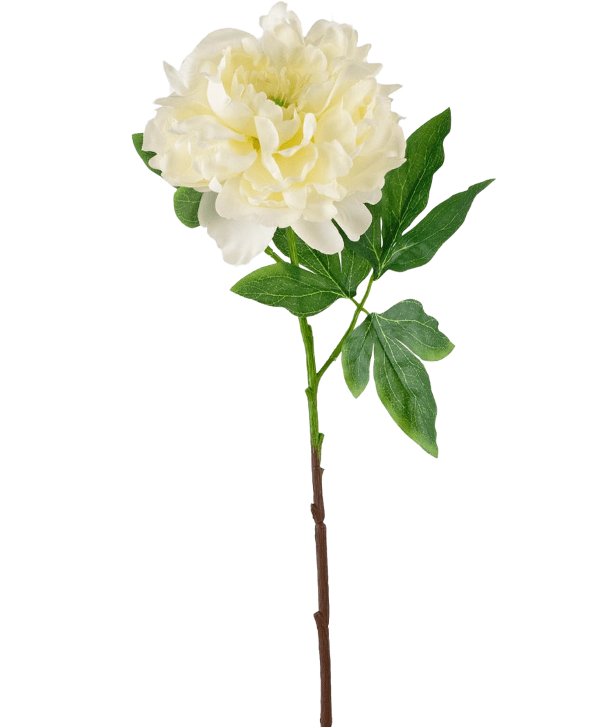 Den konstgjorda blompionen 61 cm vit är en konstgjord vit pion med skiktade kronblad och gröna blad på en lång brun stjälk, avbildad mot en vanlig vit bakgrund.