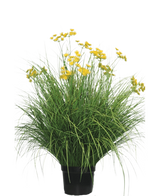 Konstgräsväxten Asteraceae 100 cm brandskyddsmedel har långa, smala blad och klasar av ljusgula blommor på höga stjälkar. Denna underhållsfria växt ser vacker ut i alla interiörer mot en vit bakgrund.