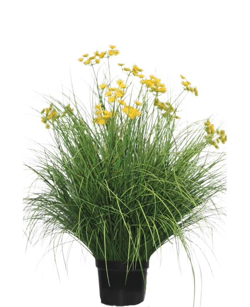 Konstgräsväxten Asteraceae 100 cm brandskyddsmedel har långa, smala blad och klasar av ljusgula blommor på höga stjälkar. Denna underhållsfria växt ser vacker ut i alla interiörer mot en vit bakgrund.