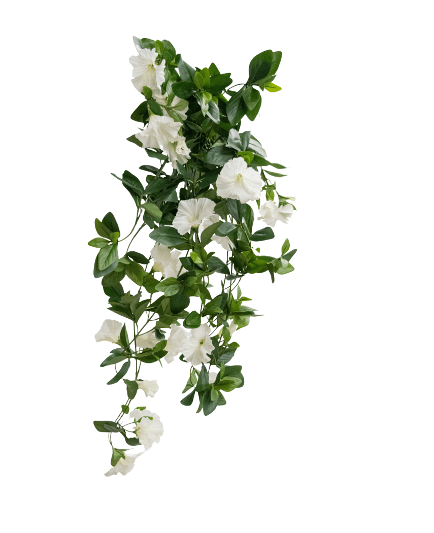 Den konstgjorda hängande växten Petunia 70 cm vit har gröna blad och vita trumpetformade blommor i fallande vinstocksliknande design, mot en vanlig vit bakgrund.