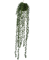 Den konstgjorda hängande växten Senecio Ball 71 cm har långa, slingrande gröna rankor som kommer fram från en rund klunga på toppen, perfekt för att lägga till grönska mot en vanlig vit bakgrund.