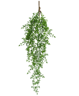 Den konstgjorda hängande växten Senecio 76 cm har en enda gren av konstgjord grönska med små, klasformade gröna blad som hänger elegant nedåt mot en vanlig vit bakgrund.