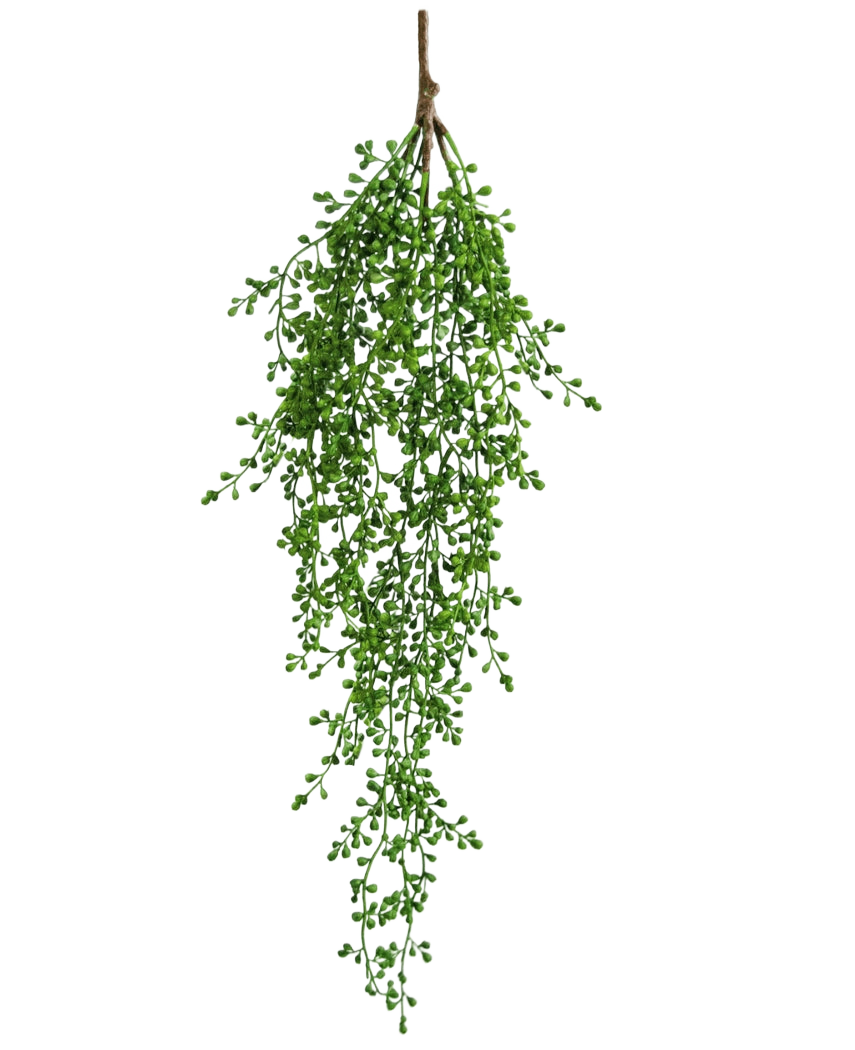 Den konstgjorda hängande växten Senecio 76 cm har en enda gren av konstgjord grönska med små, klasformade gröna blad som hänger elegant nedåt mot en vanlig vit bakgrund.