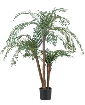 Artificiell Palm Cycas Classic 135 cm har flera smala stammar och långa, välvda gröna blad, i en enkel svart kruka mot en vanlig vit bakgrund.