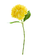 Den konstgjorda blomman Charlotte Hydrangea Real Touch Yellow 49 cm har en enda gul hortensia med gröna blad och en lång stjälk, mot en vanlig vit bakgrund.