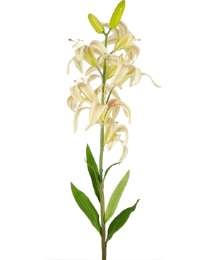 En enda lång Artificiell Flower Martagon Lily 78 cm rosa med rosa liljablommor och gröna blad mot en vanlig vit bakgrund; vissa blommor är öppna medan två knoppar på toppen förblir stängda.