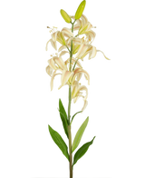 En enda lång Artificiell Flower Martagon Lily 78 cm rosa med rosa liljablommor och gröna blad mot en vanlig vit bakgrund; vissa blommor är öppna medan två knoppar på toppen förblir stängda.