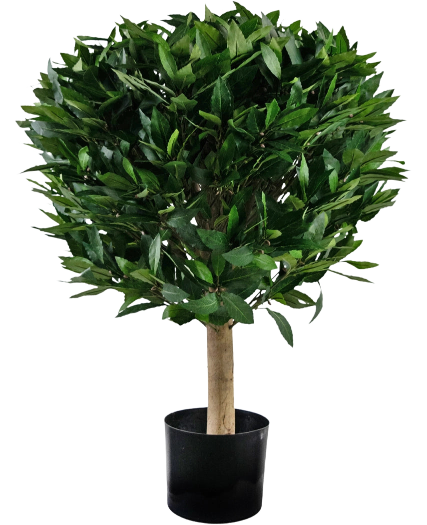Den konstgjorda laurelväxten UV d55 cm har en rak stam och ett tätt, runt kluster av glänsande gröna blad, presenterade i en svart behållare mot en vit bakgrund.