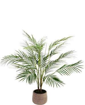 Artificiell palm Chamaedorea 83 cm har långa, smala gröna blad och flera stjälkar i en ljusbrun, strukturerad kruka, mot en vanlig vit bakgrund.