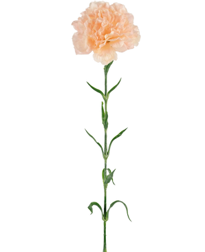 Konstgjord blomma Nejlika 69 cm persika