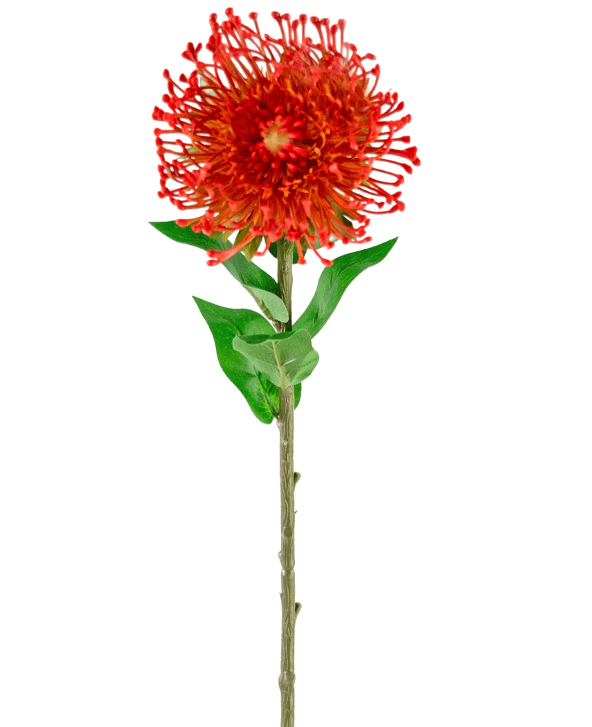 Artificiell blomma Protea 73 cm röd har livfulla röda kronblad, gröna blad och en lång smal stjälk, vilket gör den till en slående konstgjord blomma som tillför varaktig skönhet till alla utrymmen.