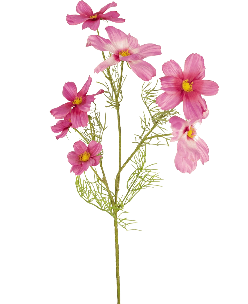 En enda artificiell blomma Cosmos 74 cm fuchsia med känsliga, fjäderlika blad och flera fuchsiablommor med gula mittpunkter visas mot en vanlig vit bakgrund.