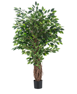 Den konstgjorda växten Ficus Tropical Liana 150 cm är ett högt konstgjort träd med en flätad stam och täta gröna löv, utställd i en liten svart kruka mot en vanlig vit bakgrund.